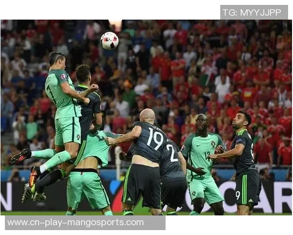 2016年欧洲杯半决赛葡萄牙战胜威尔士晋级决赛精彩回顾