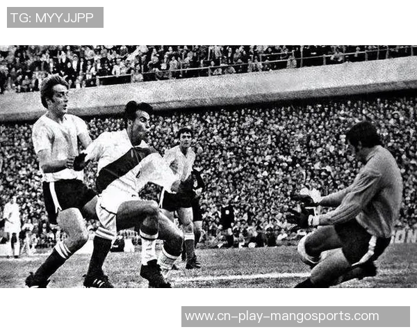 洪都拉斯与萨尔瓦多2019年激战回顾与精彩瞬间分析 洪都拉斯与萨尔瓦多2019年激战回顾与精彩瞬间分析