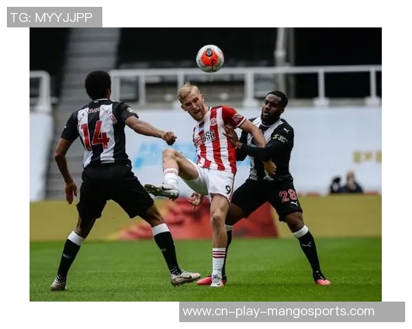 谢菲联与纽卡斯尔激战在即12月6日精彩对决值得期待 谢菲联与纽卡斯尔激战在即12月6日精彩对决值得期待